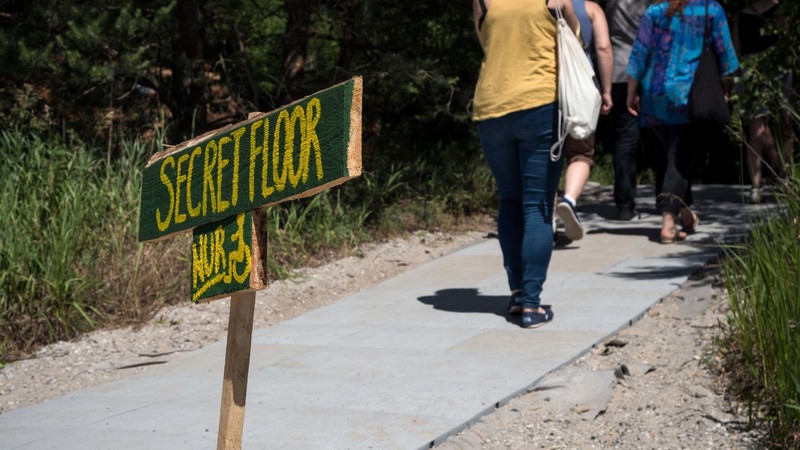 Barrierefrei gestalteter Weg auf dem Wurzelfestival.