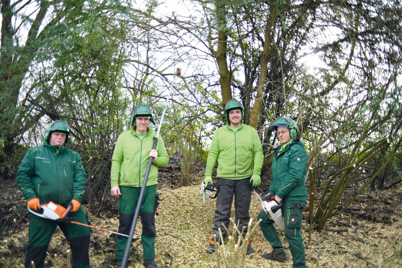 Tobias Rottmann (zweiter von rechts) und sein Gartenbau-Trupp stehen in grünen Arbeitsjacken und mit Motorsägen in der Hand mitten im Gestrüpp und schauen in die Kamera.