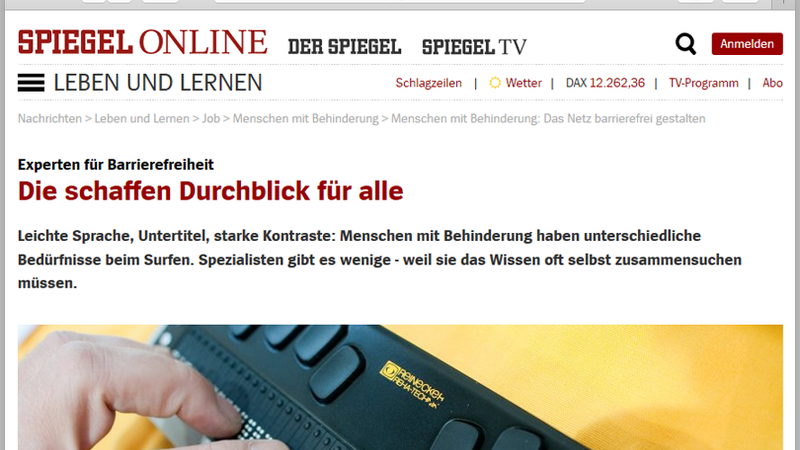 Website-Vorschau auf den Artikel.