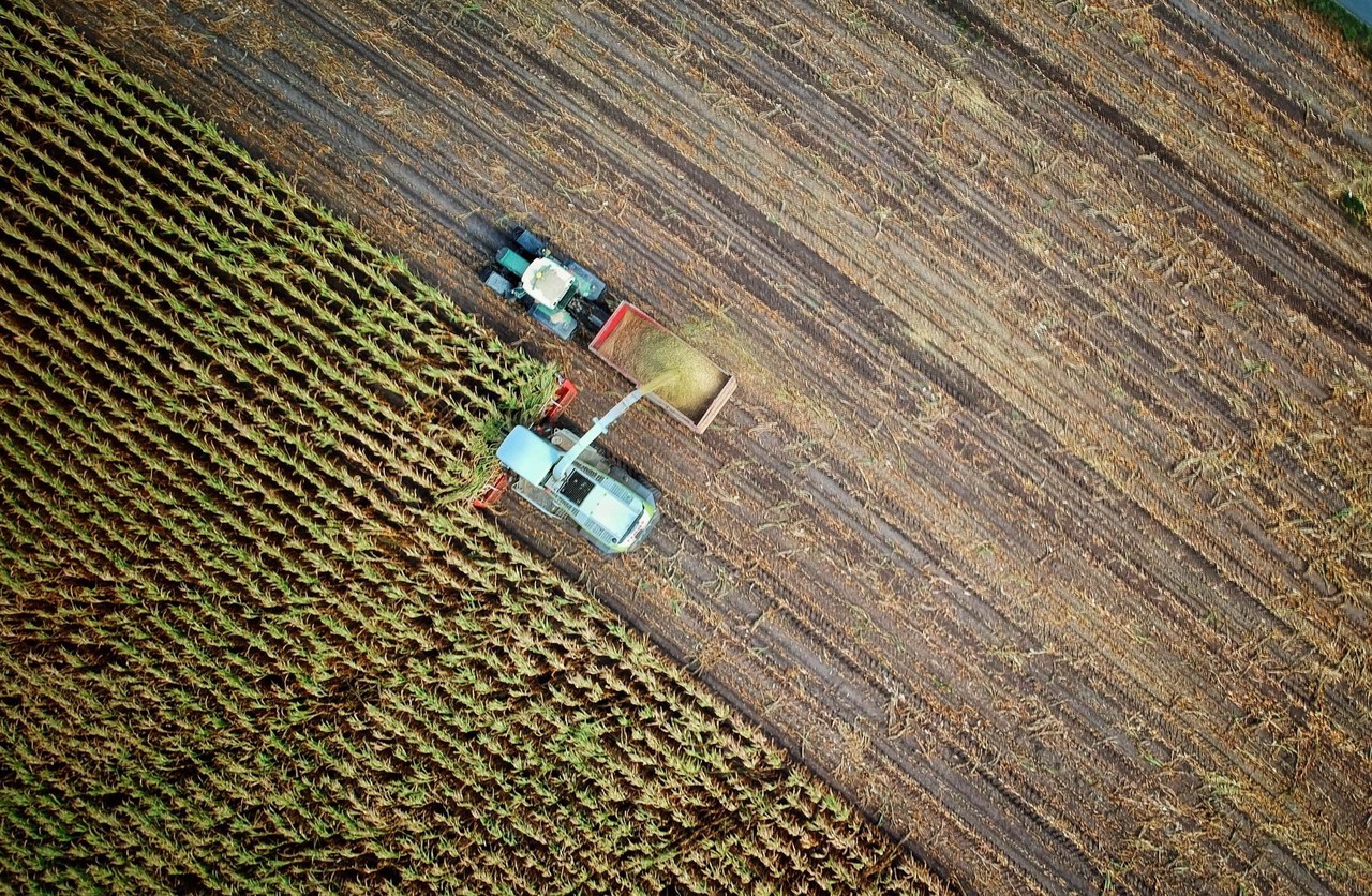 Zwei Landmaschinen bei der Ernte auf dem Feld, aus der Luft steil nach unten fotografiert.