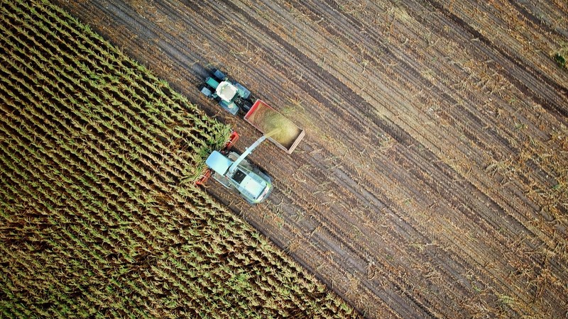Zwei Landmaschinen bei der Ernte auf dem Feld, aus der Luft steil nach unten fotografiert.